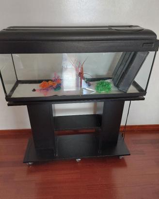 acquario 100lt