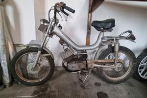 mzv cambridge fine anni 70