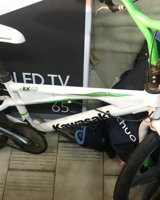 Bmx kawasaki