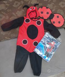 vestito carnevale coccinella 