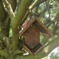 mangiatoia per uccellini 