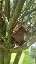 mangiatoia per uccellini 