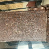 Stemmi delle città italiane album Brioschi