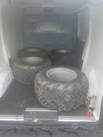 Gomme e cerchi modello garden per Carraro TRX