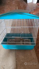 gabbietta per uccellini