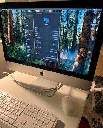 IMac 21,5