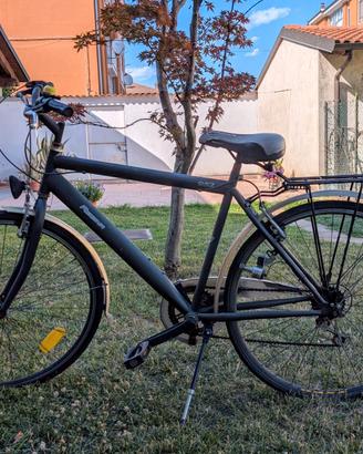 bicicletta uomo Regina 952 grigia. 