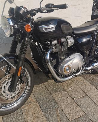 triumph