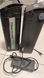 Set batterie e-bike 48V e caricabatterie - Torino