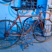 Patelli special 