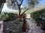 Immagine 15