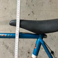 Bicicletta Peugeout Vintage Carbolite