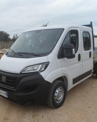 Fiat Ducato doppia cabina cassone fisso