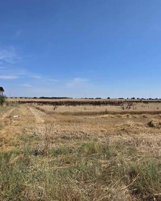 Terreno di 100150 m² a Montalto di Castro