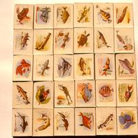 Collezione 3000 scatole di cerini mondiali anni 70