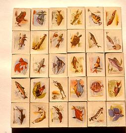 Collezione 3000 scatole di cerini mondiali anni 70