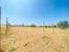 Immagine 7