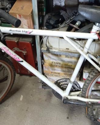 bici Mountain bike 