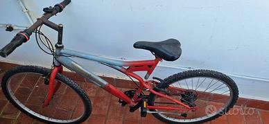 Bici mtb