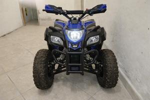 Mini Quad 4x4