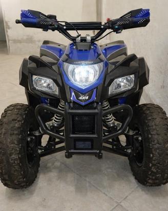 Mini Quad 4x4