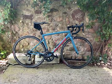 Bdc Specialized Tarmac SL6 Comp Rim