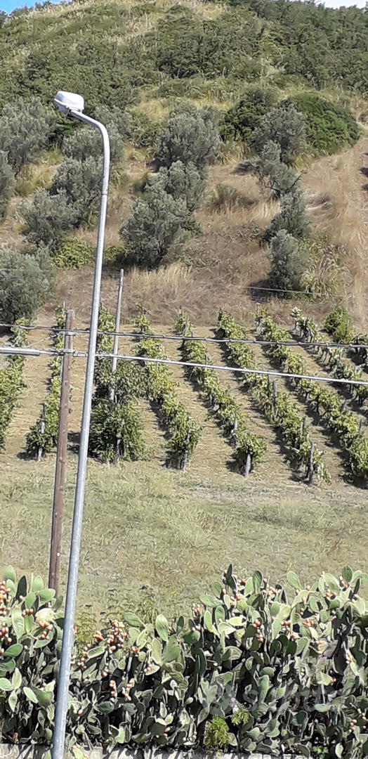 Terreno mongrassano scalo - Vista 3