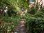 Immagine 30
