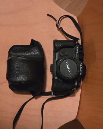 Yashica