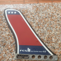 Pinnetta sup fcs carbonio