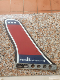 Pinnetta sup fcs carbonio