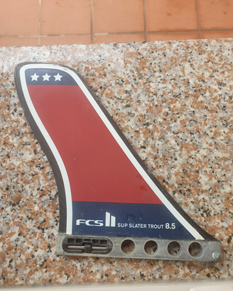 Pinnetta sup fcs carbonio