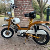 Benelli Altro modello - 1980