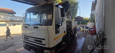 camion com gru