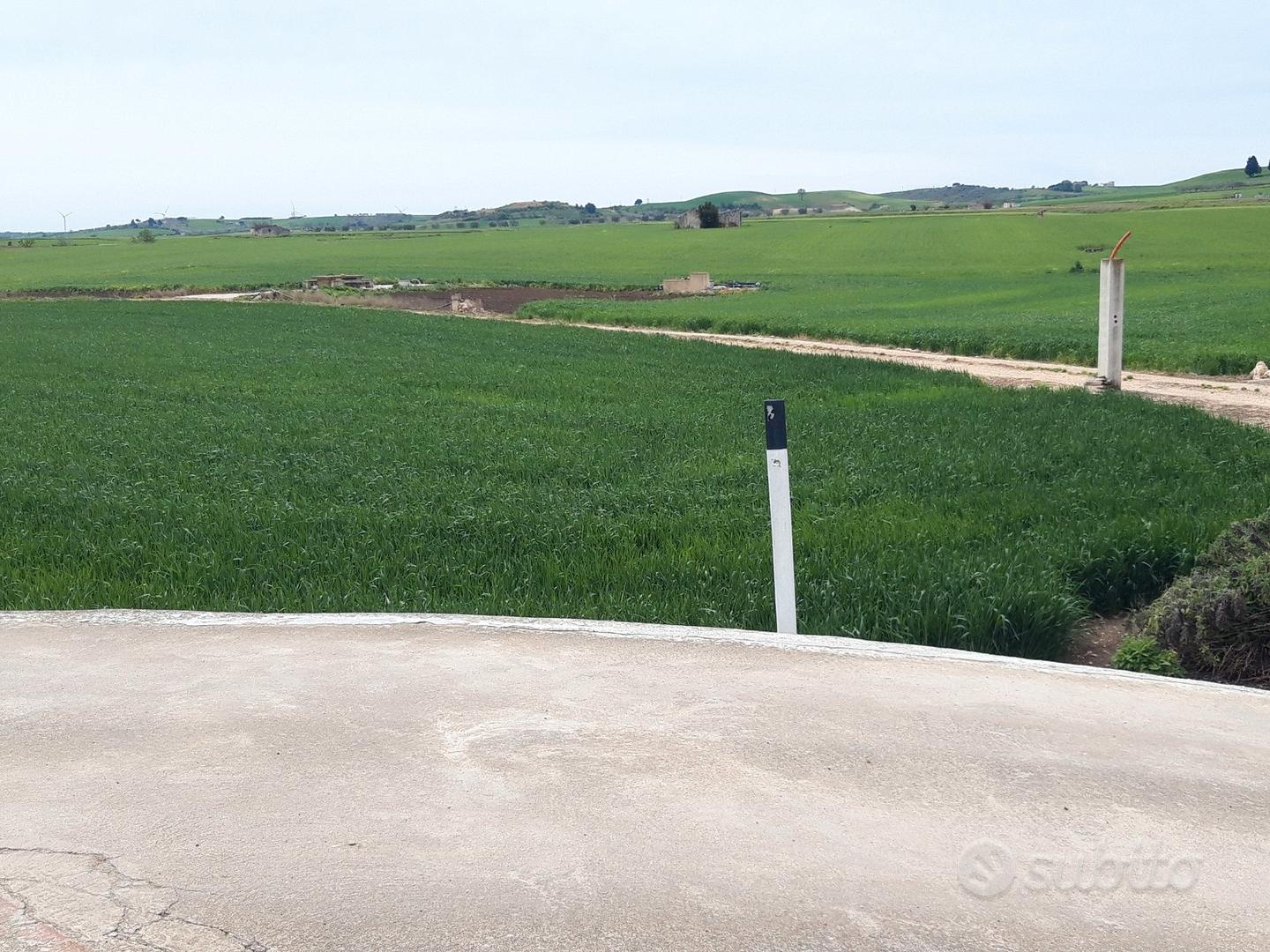 Terreno agricolo - Vista 4