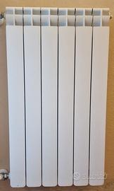 Termosifone 55x90