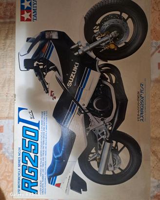 suzuki rg 250