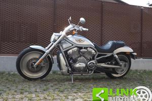 HARLEY-DAVIDSON V-Rod VRSCA anno in ottime con