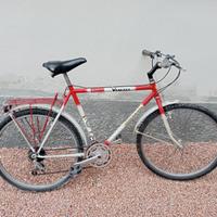 Mountain bike Saltafoss
