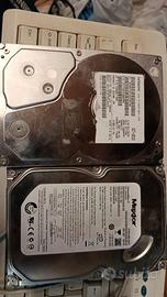 n. 2 Hard Disk -750gb + 160gb