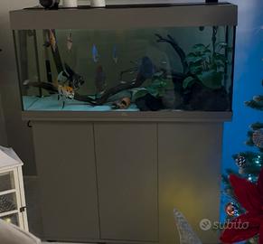 Acquario juwel rio 180