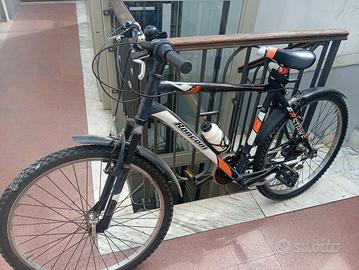 mountan bike Ronconi 