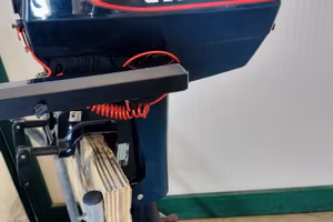 EVINRUDE 4 cv 2t gambo corto