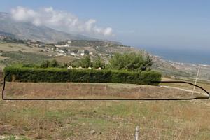 Terreno Agricolo 1000 mq Valderice