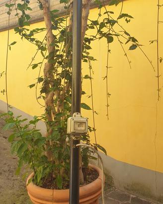 Lampione da giardino 