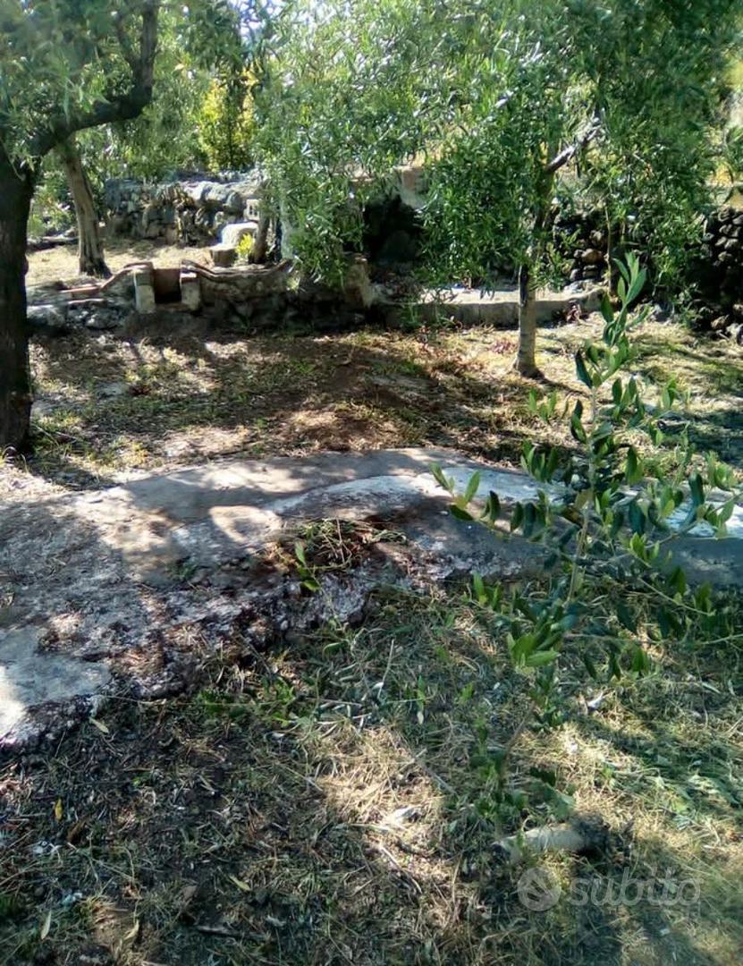 Terreno agricolo - Vista 2