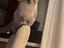 Immagine 6