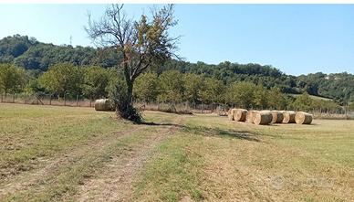Terreno agricolo località Vacone (Rieti)