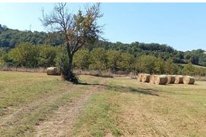 Terreno agricolo località Vacone (Rieti)