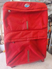 trolley  medio grande 